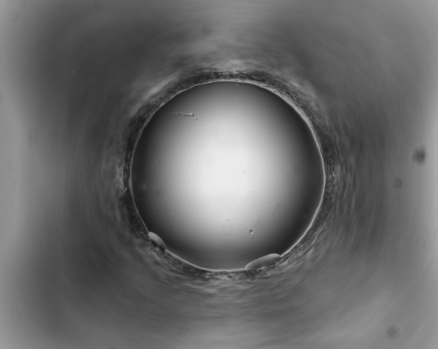 X0000102541205200808151635