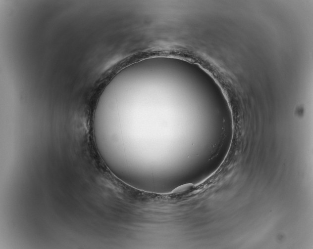 X0000102541206200808151635