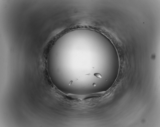 X0000102541207200808151635