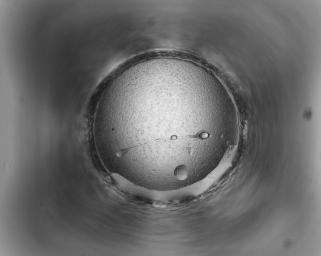 X0000102541208200808151635