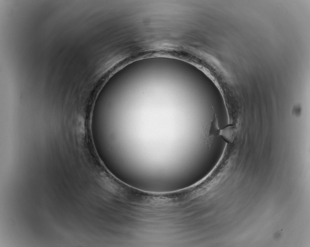 X0000102541209200808151635