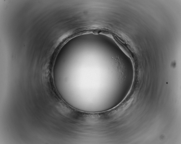 X0000102541210200808151635