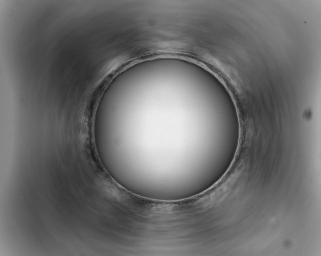 X0000102541211200808151635