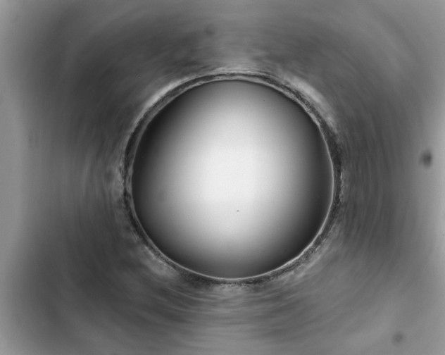 X0000102541212200808151635