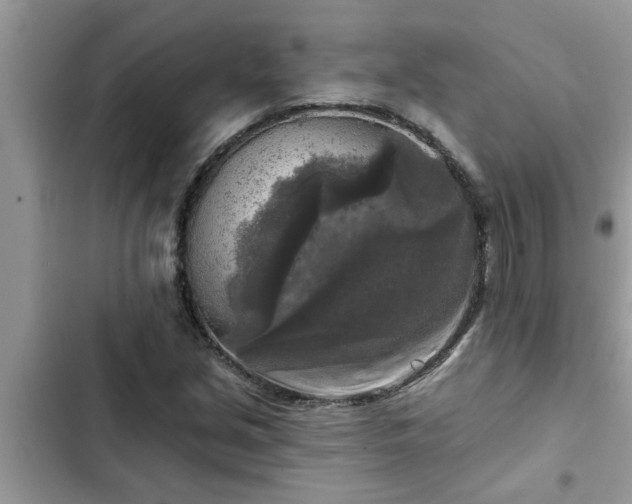 X0000102541213200808151635
