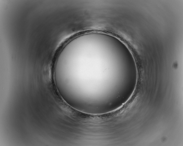 X0000102541214200808151635