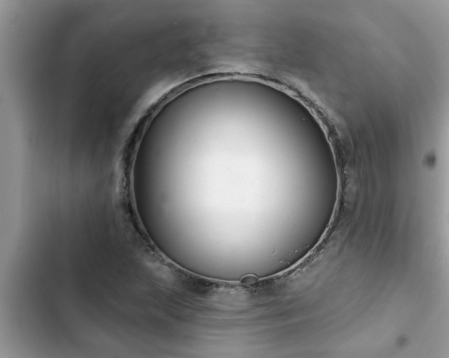 X0000102541215200808151635