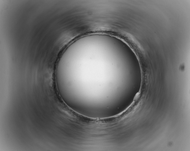 X0000102541217200808151635