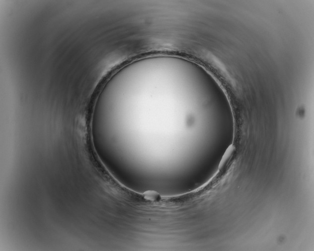 X0000102541218200808151635