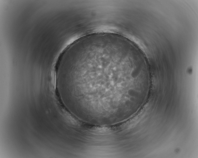 X0000102541219200808151635