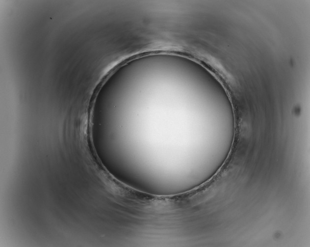 X0000102541220200808151635
