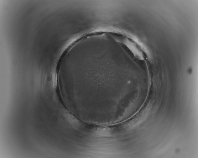 X0000102541221200808151635