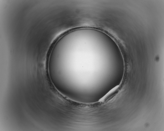 X0000102541222200808151635