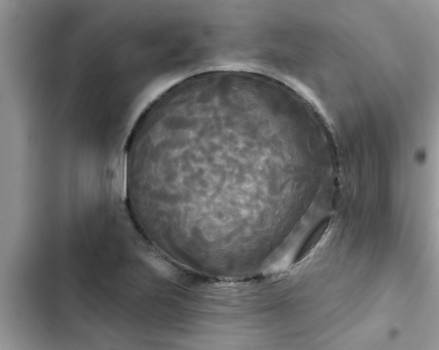 X0000102541223200808151635