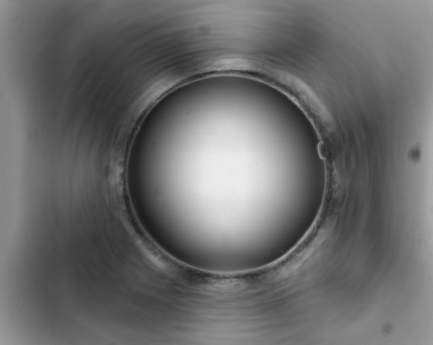 X0000102541225200808151635
