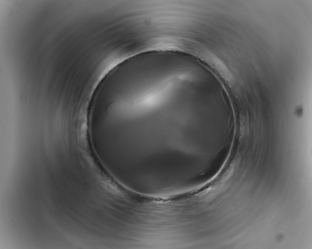 X0000102541226200808151635