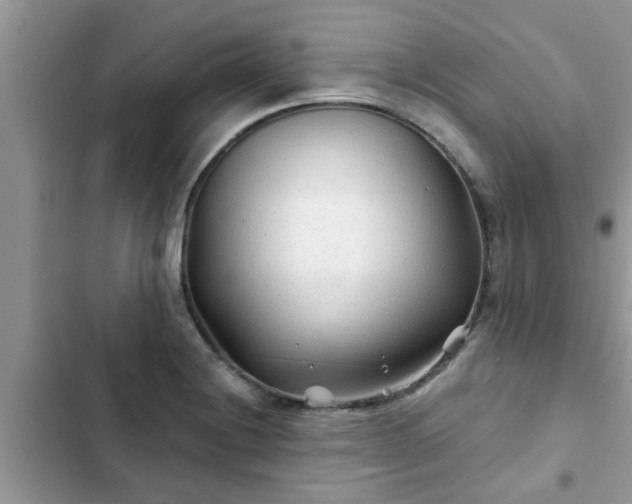 X0000102541228200808151635