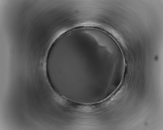 X0000102541229200808151635