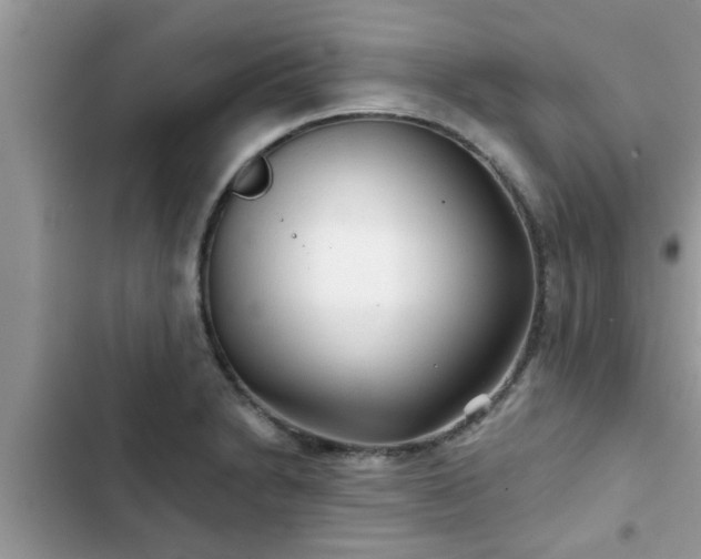X0000102541230200808151635