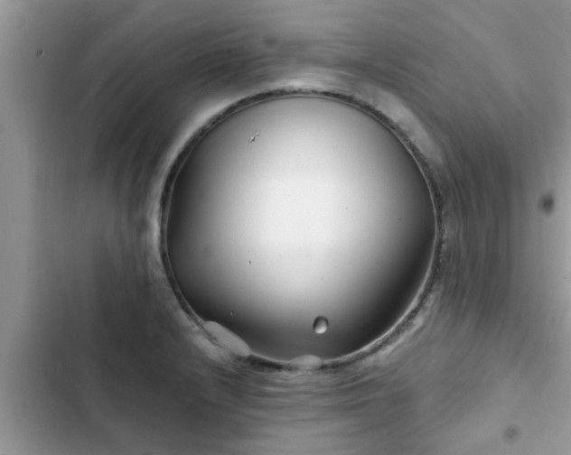 X0000102541232200808151635