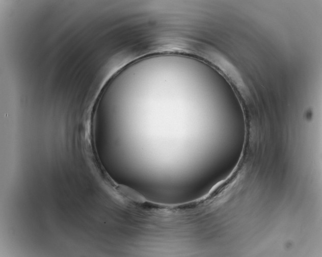 X0000102541234200808151635