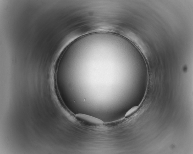 X0000102541235200808151635