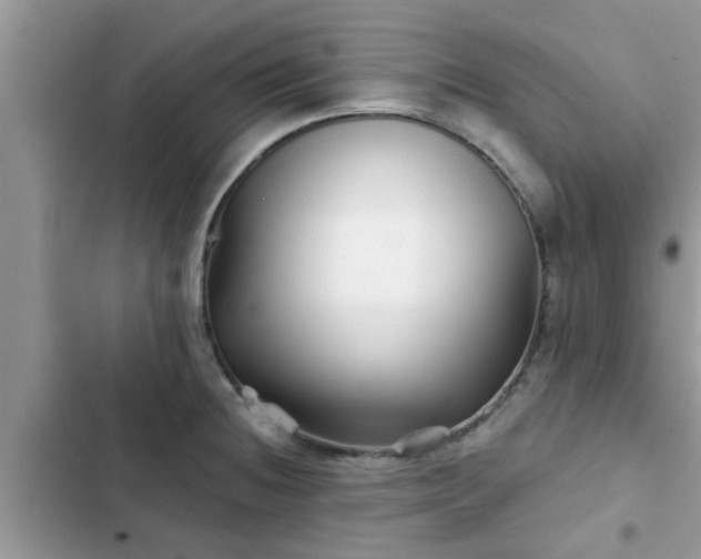 X0000102541236200808151635