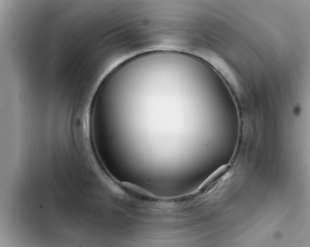 X0000102541238200808151635