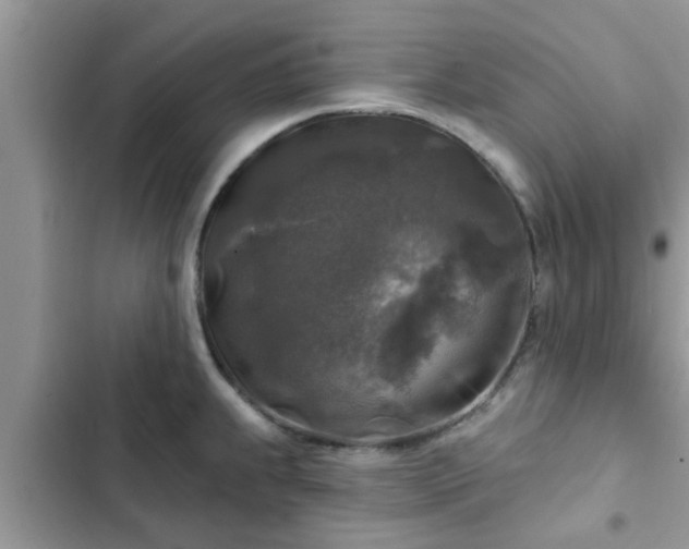 X0000102541239200808151635