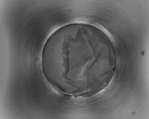 X0000102541240200808151635