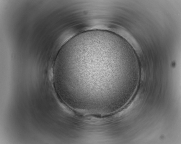 X0000102541241200808151635