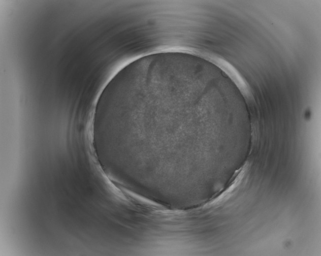 X0000102541244200808151635