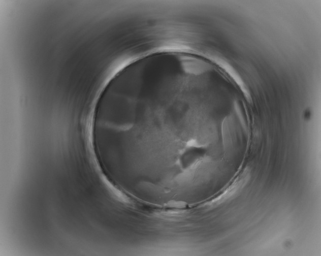 X0000102541245200808151635