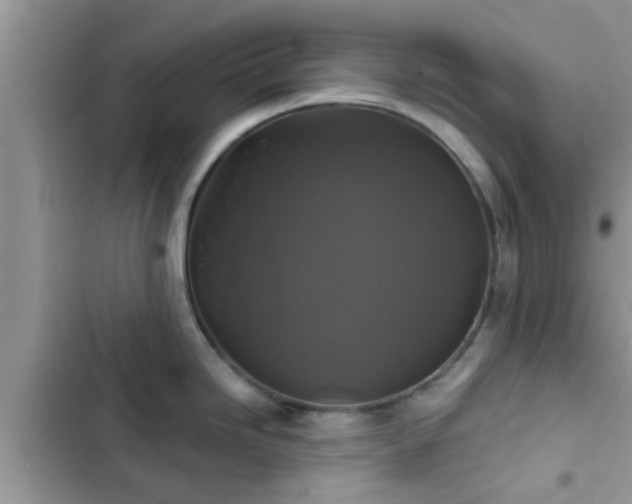 X0000102541246200808151635