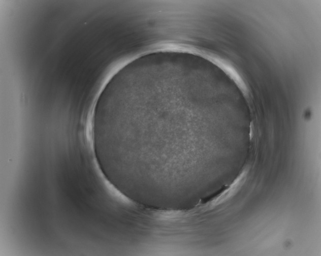 X0000102541247200808151635