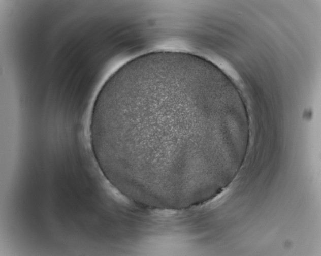 X0000102541248200808151635