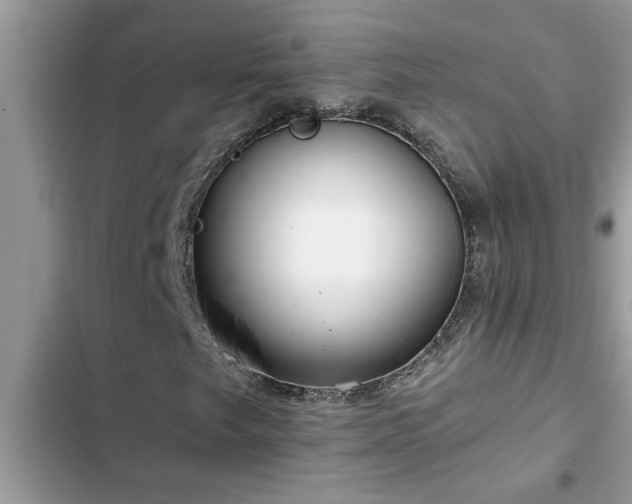 X0000102541249200808151635