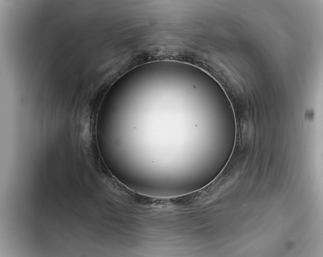 X0000102541250200808151635
