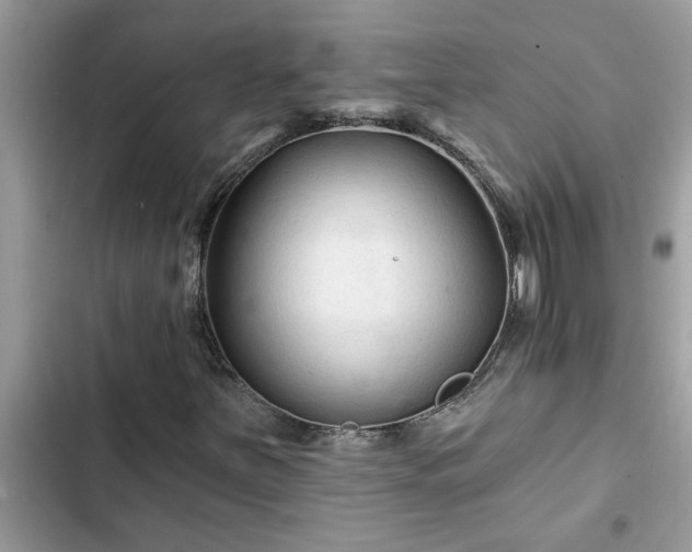X0000102541251200808151635