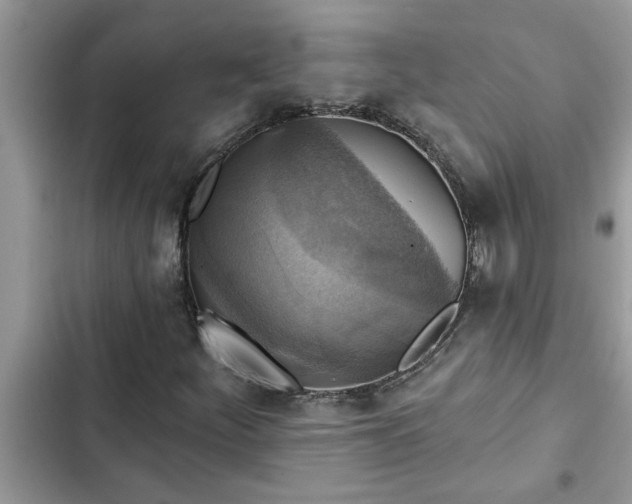 X0000102541252200808151635