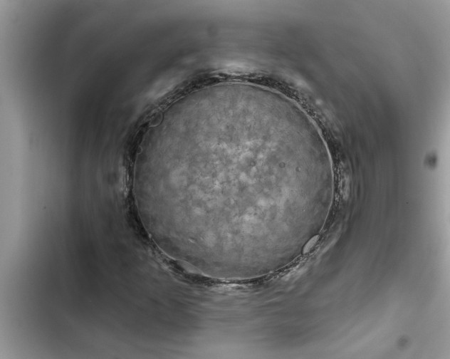 X0000102541253200808151635