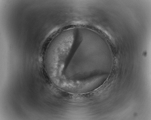 X0000102541254200808151635