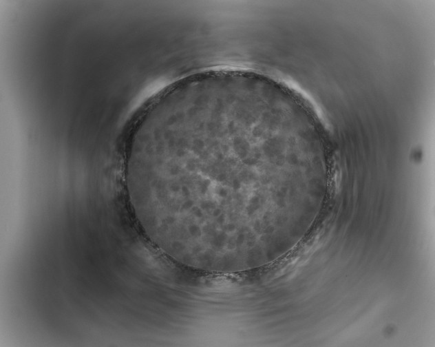 X0000102541255200808151634