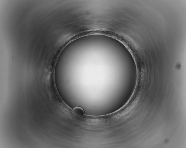 X0000102541257200808151634