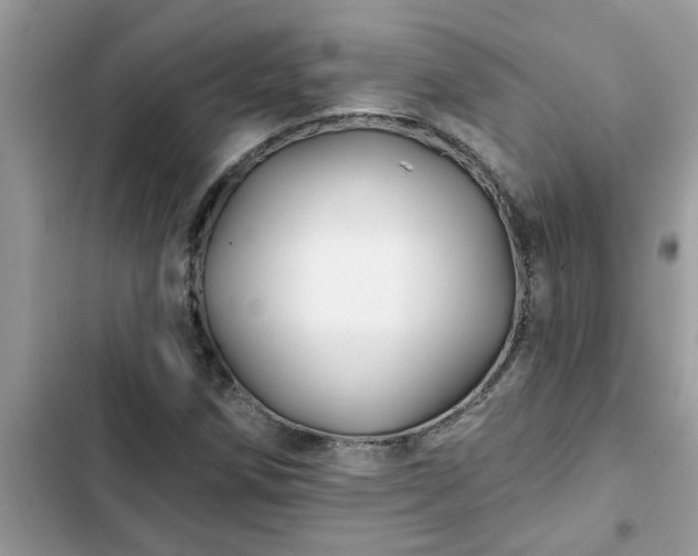 X0000102541258200808151634