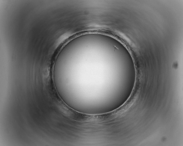 X0000102541259200808151634