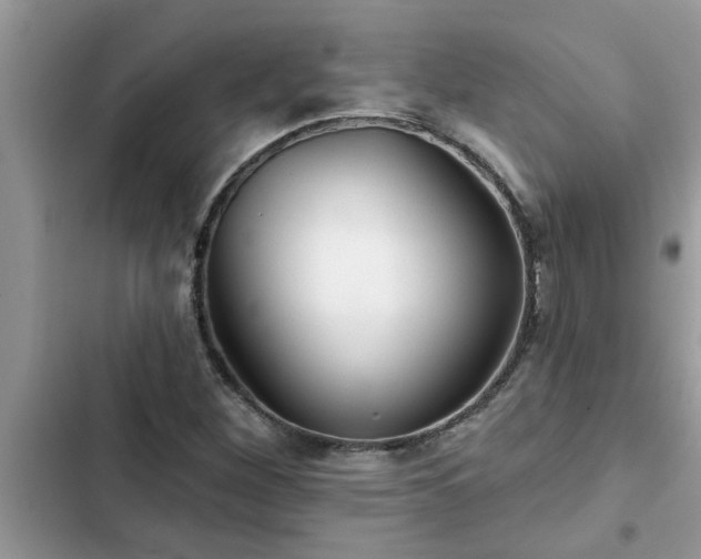X0000102541260200808151634