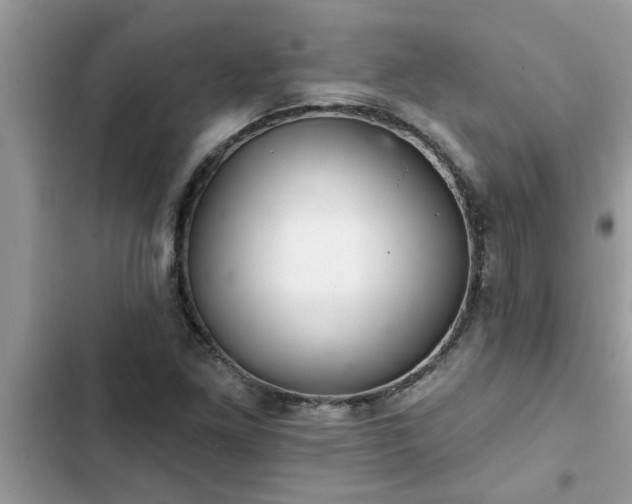 X0000102541261200808151634