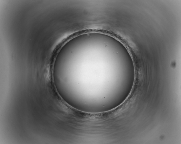 X0000102541262200808151634