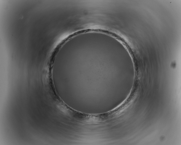 X0000102541263200808151634